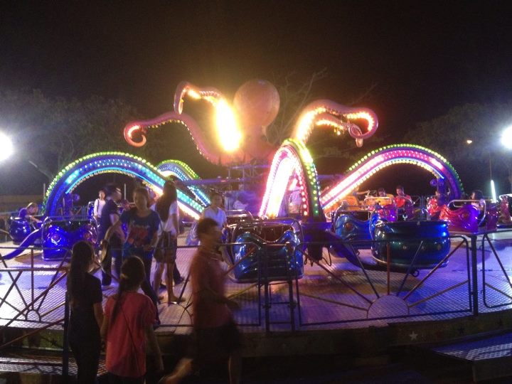 Octopus