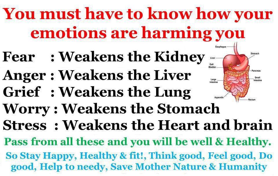 Know How Your Emotions are Harming You