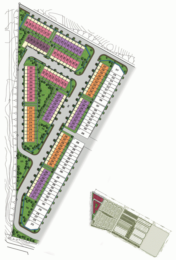 LATANIA PALM site plan