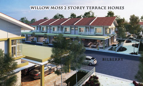Willow moss 2 Storey terrace homes