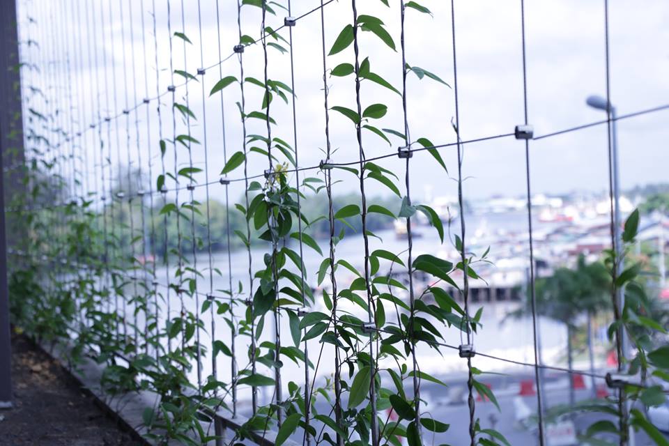 Pullman hotel external walls with plants