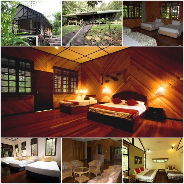 Royal Mulu Resort accommodations