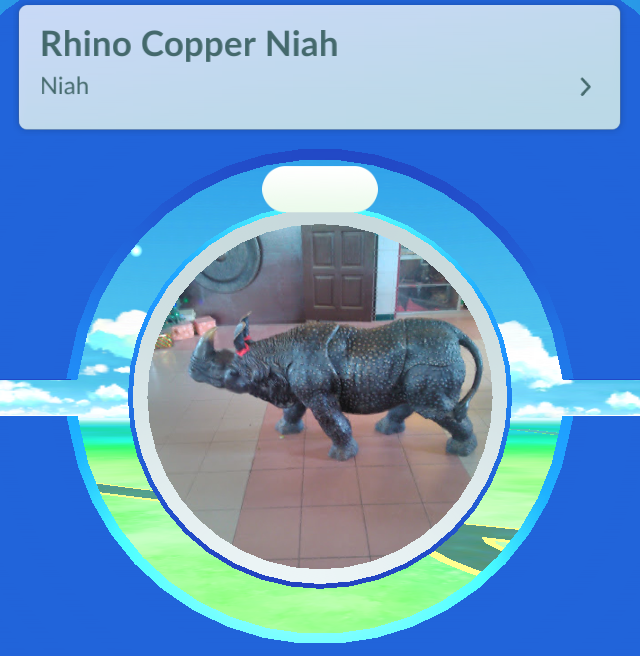 rhino-copper-niah