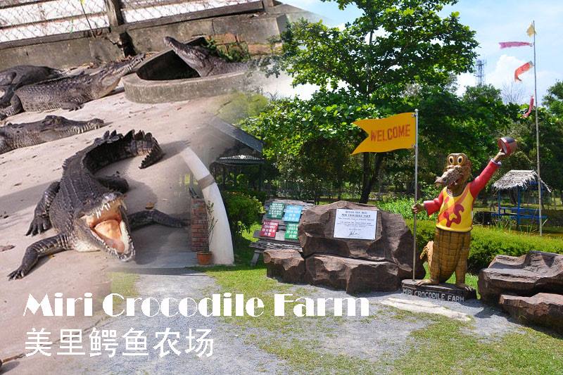 11-miri-crocodile-farm