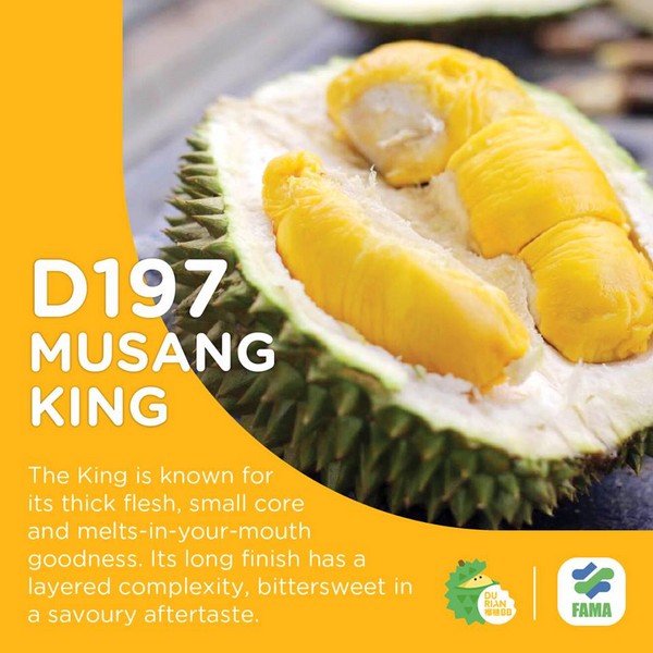 Over 20 Must-Try Durians in Malaysia! - Miri City Sharing
