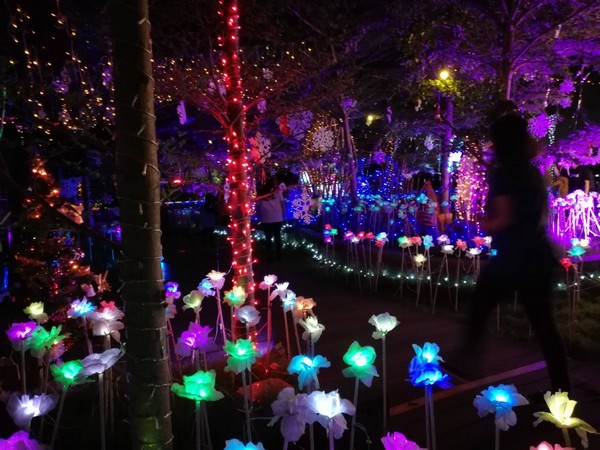Fantasy Lighting Festival at Taman Bunga Miri City - Miri City Sharing tempat menarik Miri
