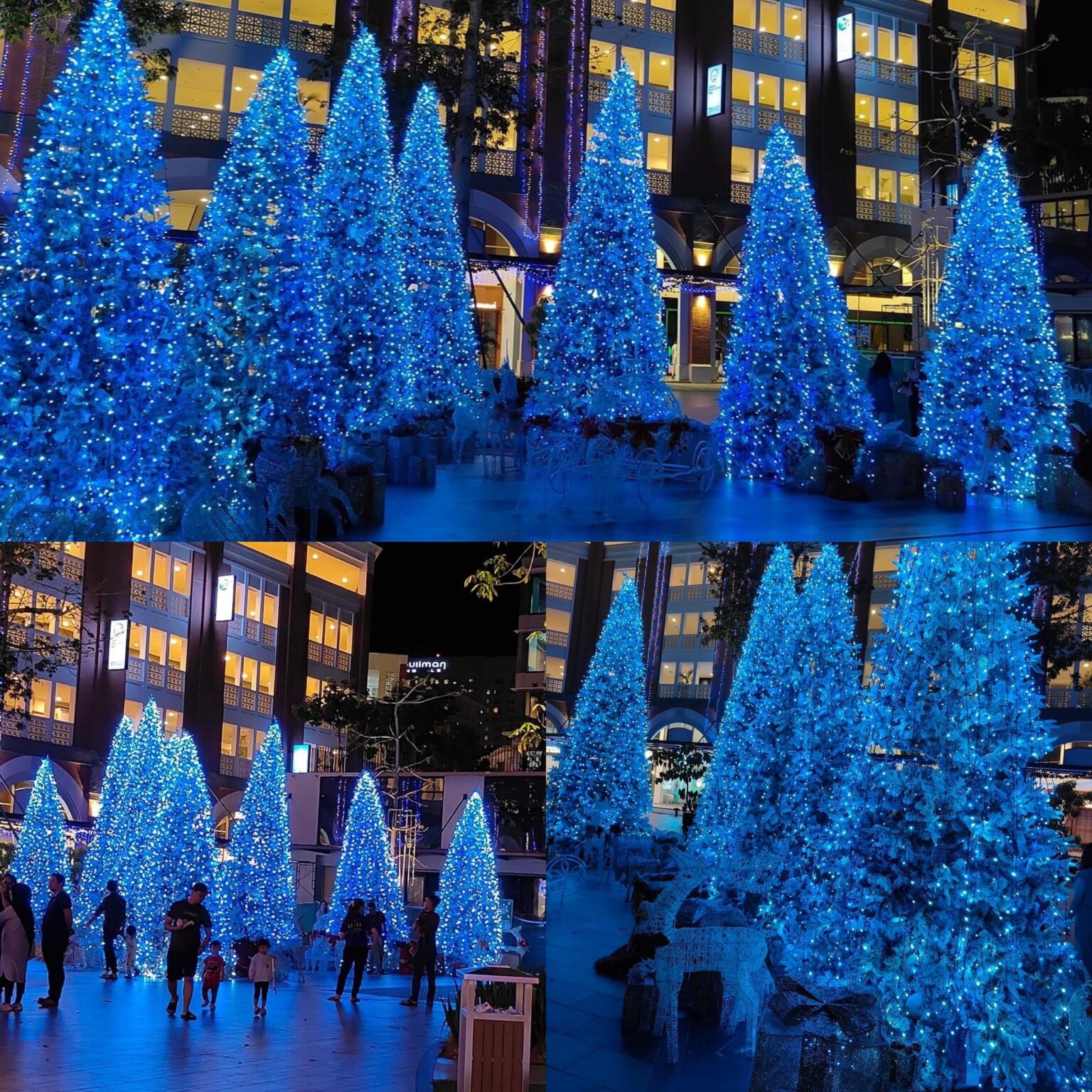 Christmas Trees Light Up in Miri City Miri City Sharing