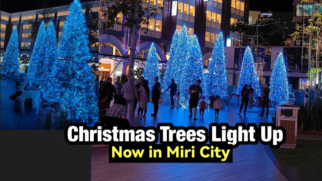 Christmas Trees Light Up in Miri City Miri City Sharing